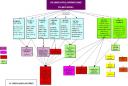 intelligencies-i-competencies.jpg