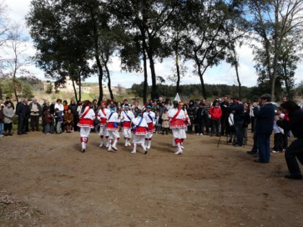 bastons