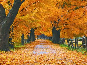 otoño