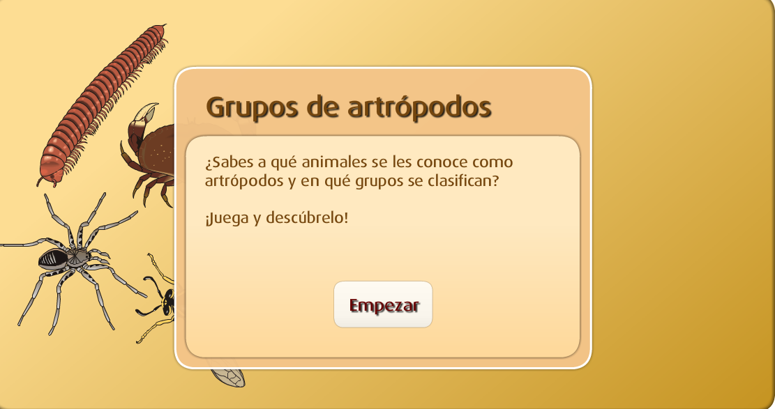 artropodos