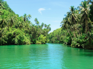 Loboc_river