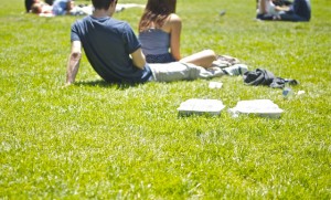 july 4th 5 picnic washington square