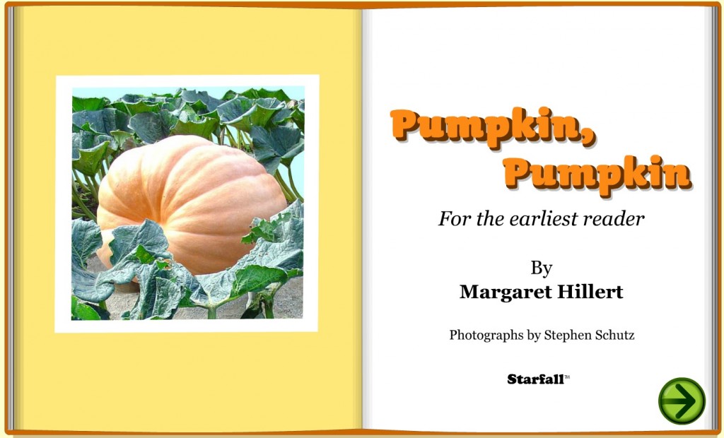 Pumpkin, pumpkin