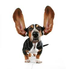 Listening 3