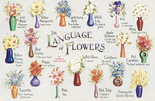 language of flowers