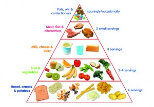 food_pyramid