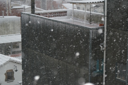 neu