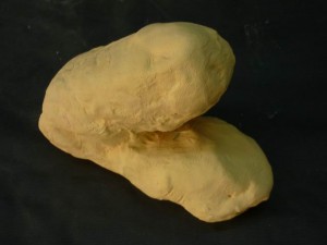 raco-artistic-juny-2010-036-pic