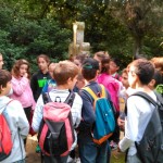 IMG_20151009_113701 (Small)