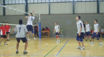 volei2.jpg