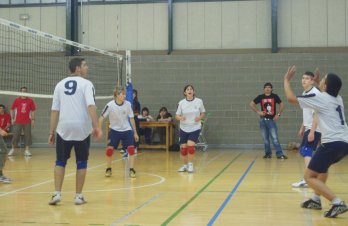 volei3.jpg