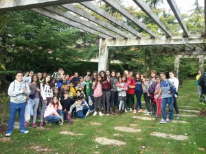 20141128_122933 [Desktop Resolution]