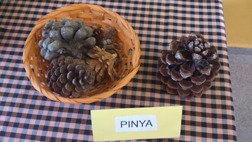 pinya 9