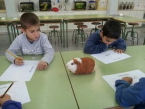 Fem un dibuix al natural de la Rouse