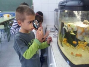 Observem detenidament.