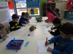 Hem començat el projecte de les Tortugues.