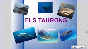 PORTADO ELS TAURONS