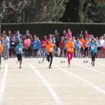 Flamicell 2016 050