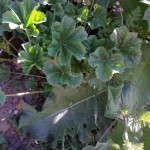 20160503_094057-min