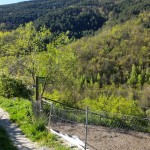 20160503_094556-min