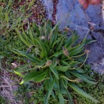 20160503_100058-min