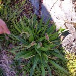 20160503_100059-min