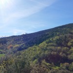 20160503_100313-min