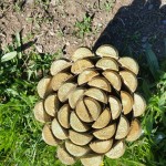20160503_105557-min