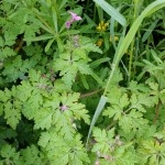 20160510_103123-min