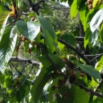 20160510_103147-min