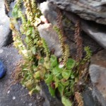 20160510_103417-min