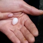 20160510_104136-min