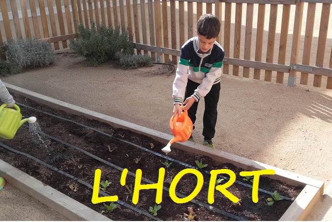 HORT