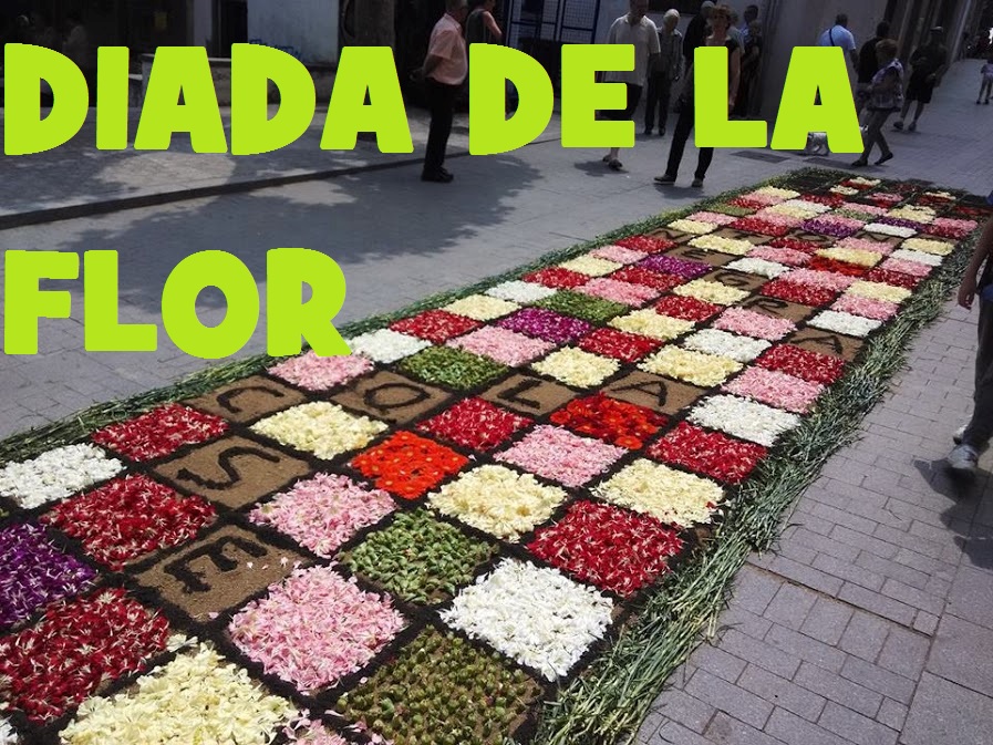 DIADA