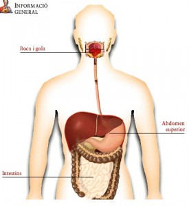 aparell digestiu