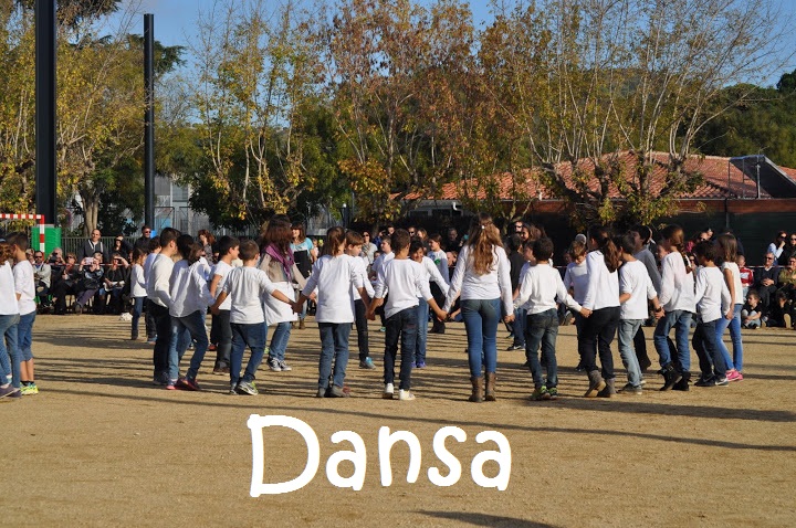 dansa 4t