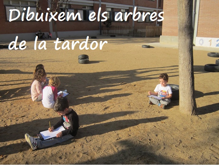 arbres