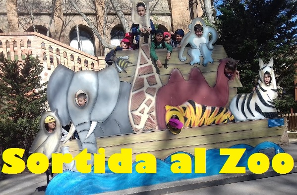 zoo