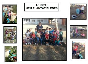 hort-bledes