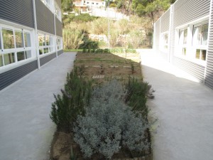 IMG_4505