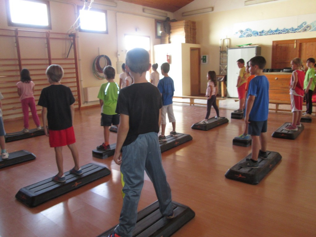 Fem steps a les estones de dansa.