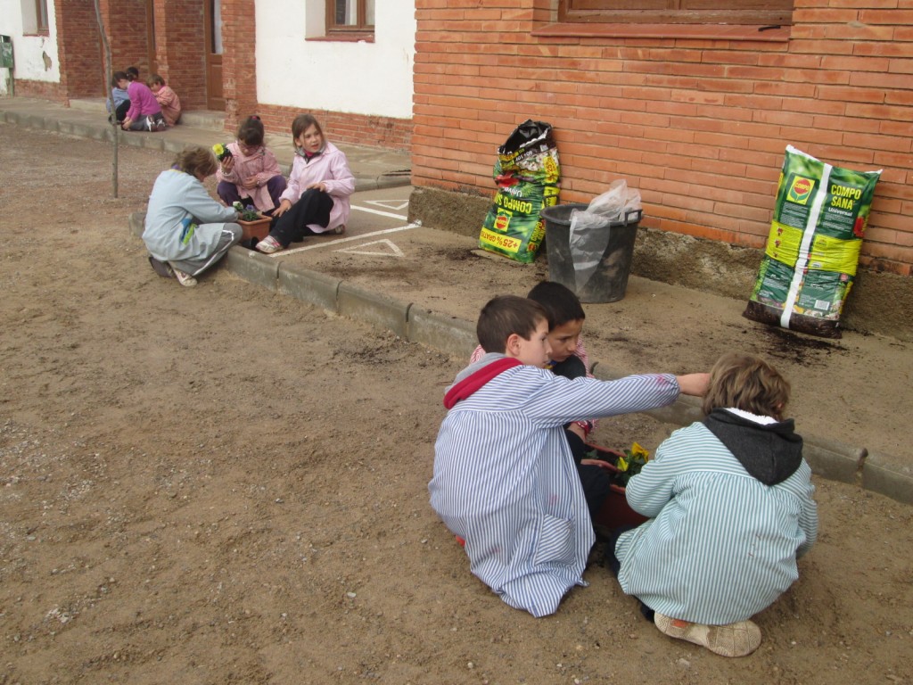 Plantem els pensaments.