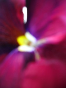 És l'última peça que em faltava