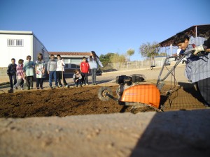 PASSEM EL MOTOCULTOR A L'HORT
