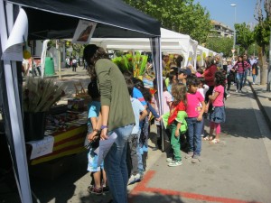Fem un volt per les paradetes 