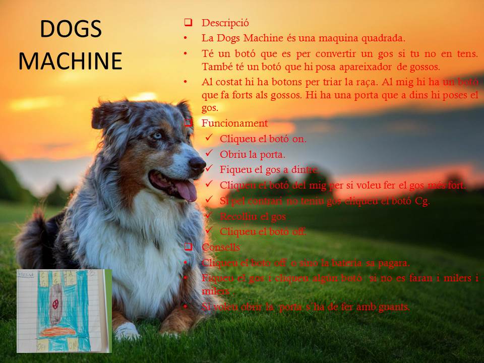 dogs-machine-mohammed-i-hector