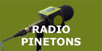 logo radio