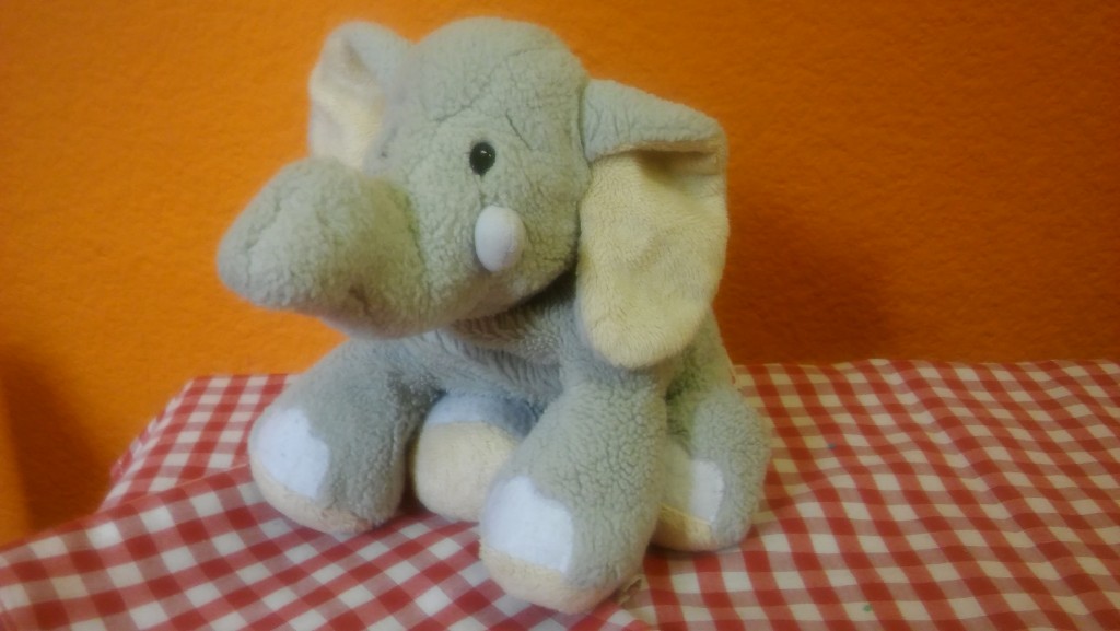 L'ELEFANT RAIMON