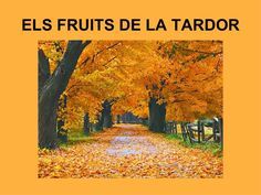 7b955e0d8c0ca57cf2ef6e7d8865af56--fruit