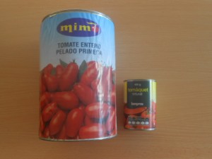 DSCN5027